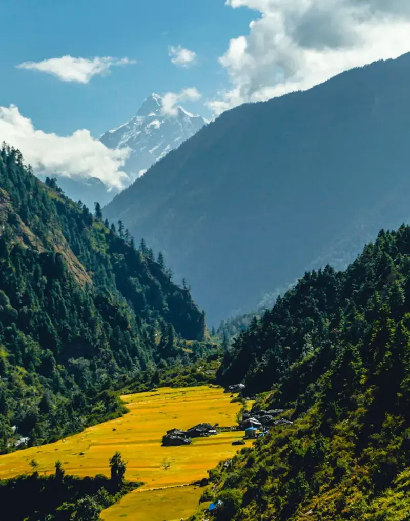 Sacred Tsum Valley