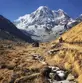 Annapurna Region